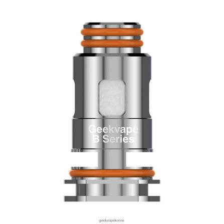 GeekVape 5 개/갑 b 시리즈 코일 0P0B69 b0.2옴 | Geek Bar Price